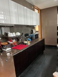 Belle Vue Residences (D9), Condominium #455048191